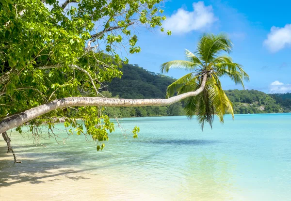 Tropisch strand in Seychellen Rechtenvrije Stockafbeeldingen