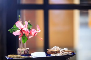 Ebegümeci çiçeği güzel arka plan rengiyle