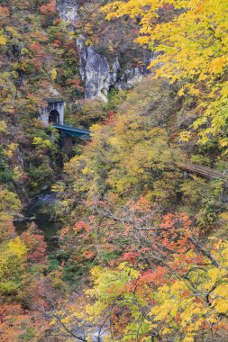 Sonbahar sezonu, Japonya değil Gorge sonbahar yaprakları