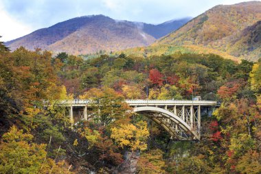 Sonbahar sezonu, Japonya değil Gorge sonbahar yaprakları