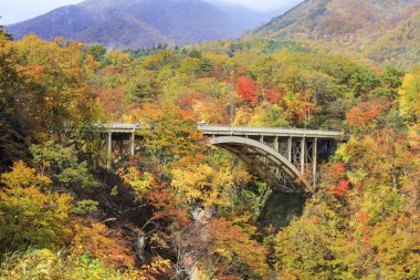 Sonbahar sezonu, Japonya değil Gorge sonbahar yaprakları