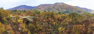 Sonbahar sezonu, Japonya değil Gorge sonbahar yaprakları
