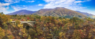 Sonbahar sezonu, Japonya değil Gorge sonbahar yaprakları