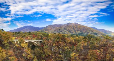Sonbahar sezonu, Japonya değil Gorge sonbahar yaprakları