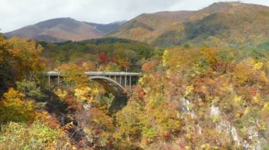 Sonbahar sezonu, Japonya değil Gorge sonbahar yaprakları