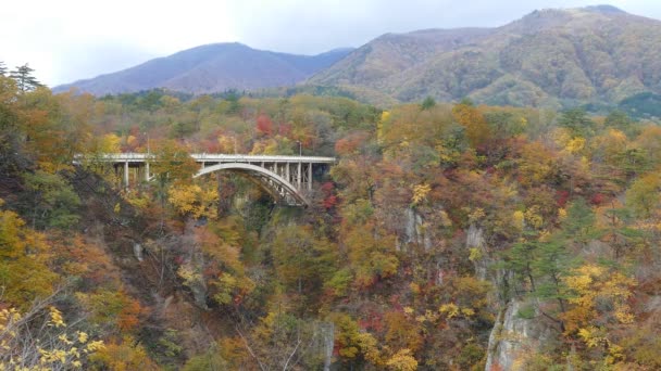 Naruko Gorge Høstavgang høstsesongen, Japan – stockvideo