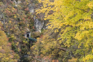 Sonbahar sezonu, Japonya değil Gorge sonbahar yaprakları