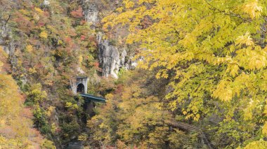 Sonbahar sezonu, Japonya değil Gorge sonbahar yaprakları