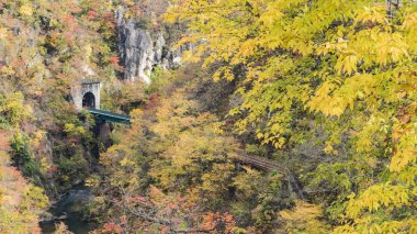 Sonbahar sezonu, Japonya değil Gorge sonbahar yaprakları