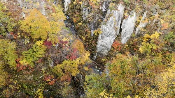 Naruko Gorge Feuilles d'automne à l'automne, Japon — Photo