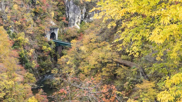 Naruko Gorge Feuilles d'automne à l'automne, Japon — Photo