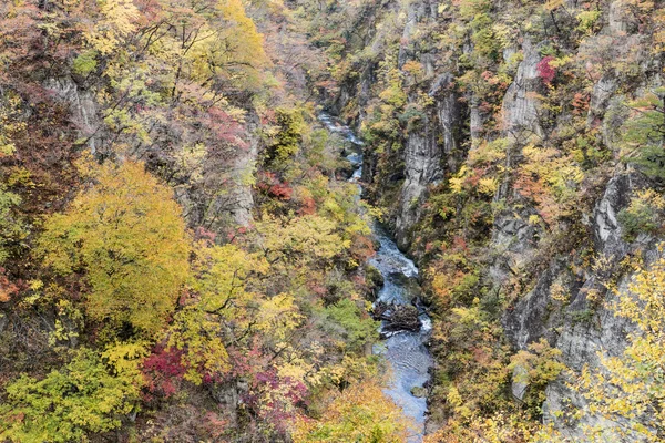 Naruko rokle podzimní listí v podzimu, Japonsko — Stock fotografie
