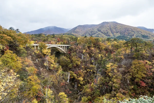 Naruko Gorge Otoño sale en la temporada de otoño, Japón — Foto de Stock