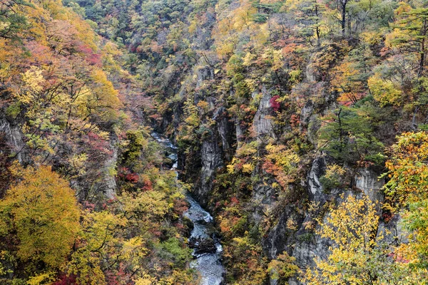 Naruko Gorge Autumn leaves in the fall season, Japan — Stock Photo, Image