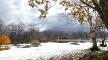 Aomori ili, Tohoku bölgesi, Japonya