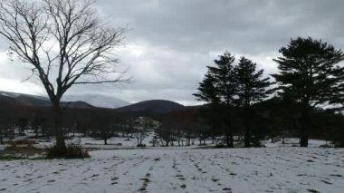 Aomori ili, Tohoku bölgesi, Japonya