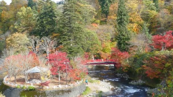 Fudo ström och den röda bron på Mount Nakano-Momiji — Stockvideo