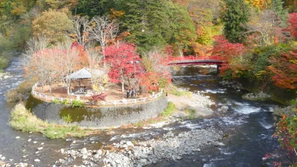 Fluxo de Fudo e a ponte vermelha no Monte Nakano-Momiji — Vídeo de Stock