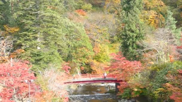 观光船巡航秋湖 Towadako 十和田八幡平国家公园里的美景 — 图库视频影像