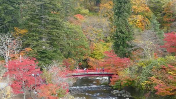 Bella vista di una crociera in barca turistica in autunno Lago Towadako nel Parco Nazionale Towada Hachimantai — Video Stock