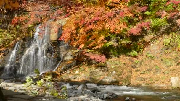 Mooi uitzicht op een sightseeing boot cruising op herfst Lake Towadako in Towada Hachimantai Nationaal Park — Stockvideo