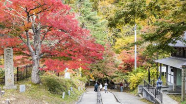 Fudo akışı ve kırmızı köprü Mount Nakano-Momiji
