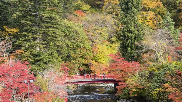 Fudo akışı ve kırmızı köprü Mount Nakano-Momiji — Stok fotoğraf