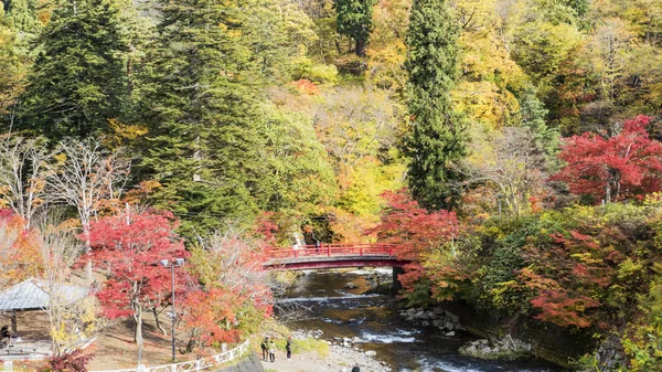 Fudo akışı ve kırmızı köprü Mount Nakano-Momiji — Stok fotoğraf