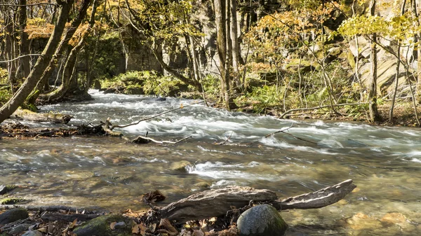 Mysterious Oirase ström flyter genom hösten skogen i till — Stockfoto