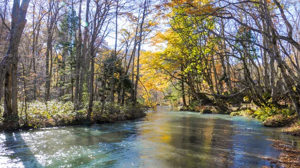 Titokzatos Oirase patak, átfolyik az őszi erdő hogy — Stock Fotó