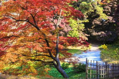 Hirosaki, Aomori Hirosaki Castle Park'ta güzel sezon