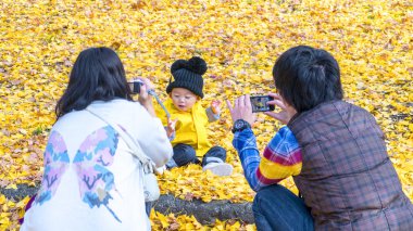 Hokkaido Üniversitesi sonbahar sonbahar sezonunda