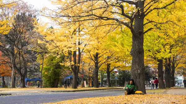 De val seizoen in het najaar Hokkaido Universiteit — Stockfoto