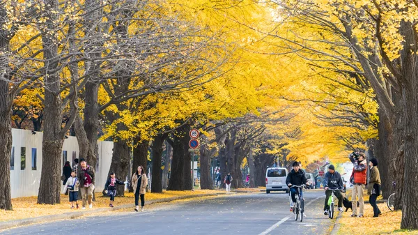 Die Herbstsaison in der Herbst-Hokkaido-Universität — Stockfoto