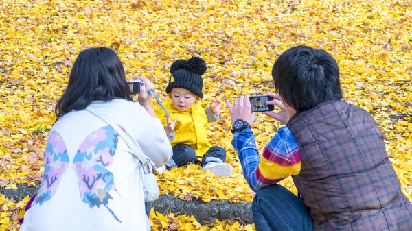 A temporada de outono na Universidade de Hokkaido — Fotografia de Stock