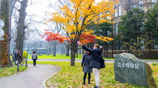 Az őszi szezon őszi Hokkaido Egyetem — Stock Fotó