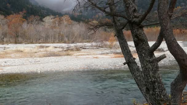 Kamikochi nationalpark — Stockvideo