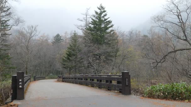 Kamikochi nationalpark — Stockvideo