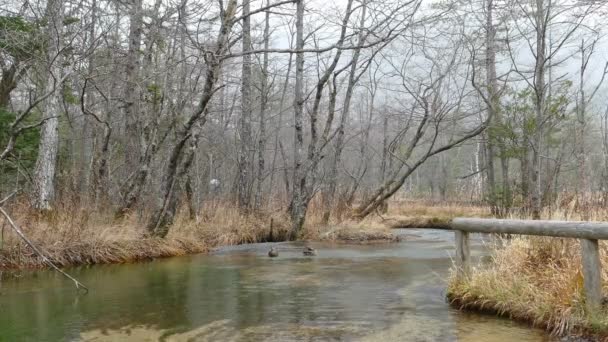 parc national kamikochi 