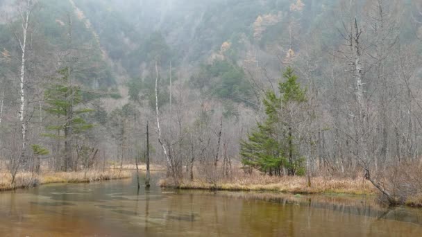 Parque nacional de kamikochi — Vídeos de Stock