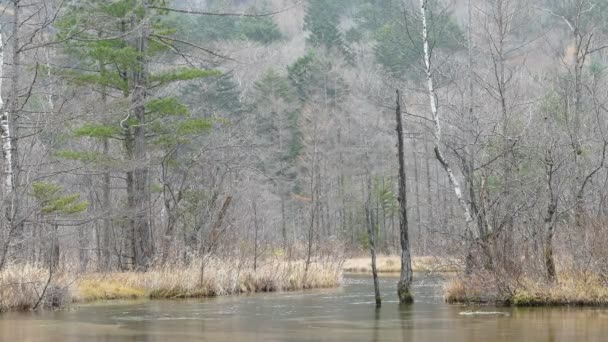 Kamikochi national park — Stock Video