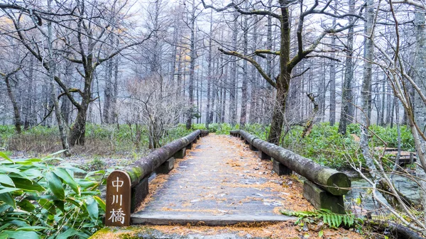 Höstsäsongen av kamikochi nationalpark, Japan — Stockfoto