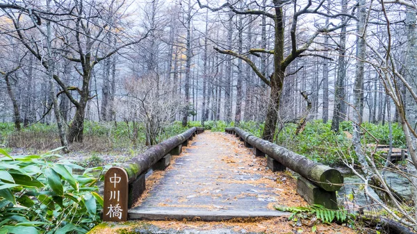 Fall season of kamikochi national park, Japan — Stock Photo, Image