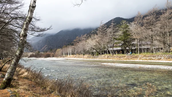 Осінній сезон Ципля національного парку, Японія — стокове фото