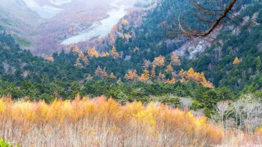 sonbahar sezonunun kamikochi Milli Parkı, Japonya