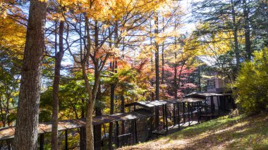 Nagano ile güzel bir renk, sonbahar sezonunun Karuizawa, Japonya