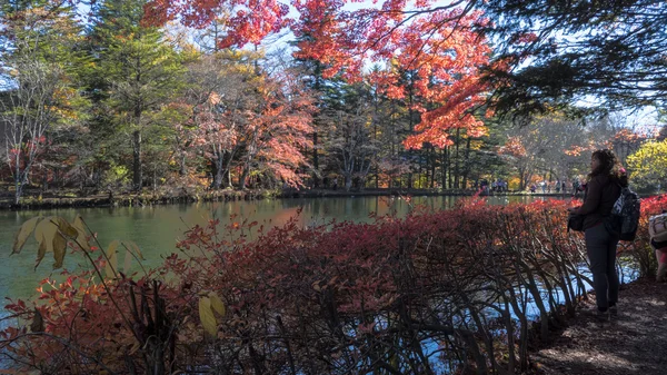 Höstsäsongen av Karuizawa, Nagano med fin färg, Japan — Stockfoto