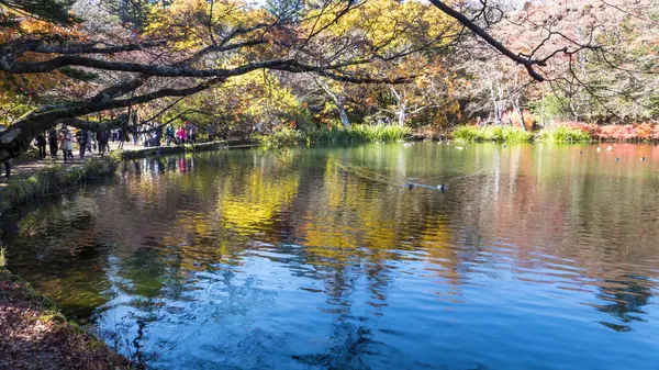 A temporada de outono de Karuizawa, Nagano com boa cor, Japão — Fotografia de Stock