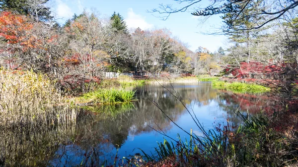 La saison d'automne de Karuizawa, Nagano avec une belle couleur, Japon — Photo