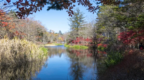 Nagano ile güzel bir renk, sonbahar sezonunun Karuizawa, Japonya — Stok fotoğraf